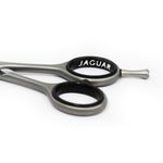 0350 TIJ MGO REC SAT MIC 5 JAGUAR