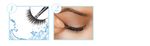PEST-ENT-AQUA-LASHES-340-ARDELL