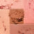 color DESERT-ROSE icono