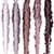 color 102 icono