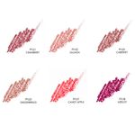 DELIN-LABIOS-HERBAL-PRECISION-PALLADIO-CRANBERRY