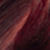 color 5-65 icono