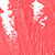 color SOCIALITE icono