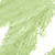 color GREEN icono