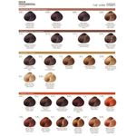 TINT X70 PROFESSIONAL COLOR ISSUE 8-83