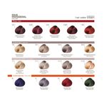 TINT X70 PROFESSIONAL COLOR ISSUE 8-83