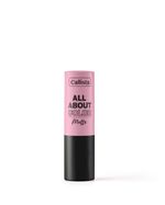 LABIAL-ALL-ABOUT-COLOR-MATTE-CALLISTA-501