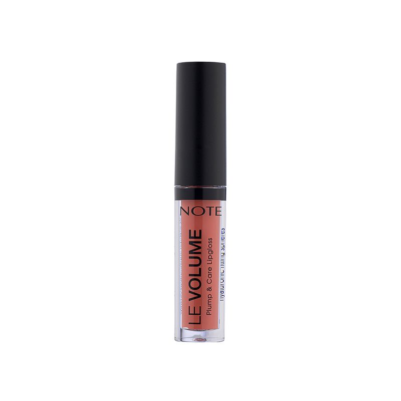 LABIAL-LE-VOLUME-PLUM-CARE-NOTE-01