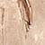 color CHAMPAGNE SHIMMER icono