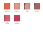 LIQUID-BLUSH-2-IN-1-CHEEK---LIP-PALLADIO-SUNNY
