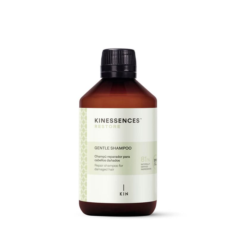 SH-X300-RESTORE-KINESSENCES