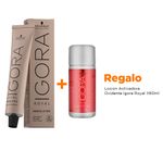 TINT x60 IGORA ABSOLUTES - combo