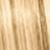 color L-00 icono
