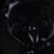 color Black icono