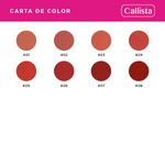 LABIAL TRULY MATTE LIQUID CALLISTA 401