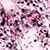 color Artist Pink icono