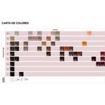 TINT x60 COLORWEAR vegan ALFAPARF 10-02