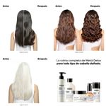 PRE SH X250 METAL DETOX EXPERT