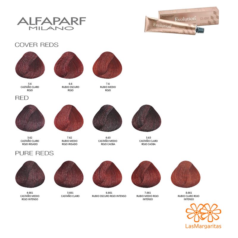 24 Tinturas Evolution Of The Color Cube x60 ml Alfaparf