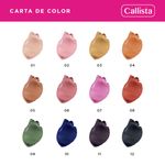 ONE FOR ALL CALLISTA