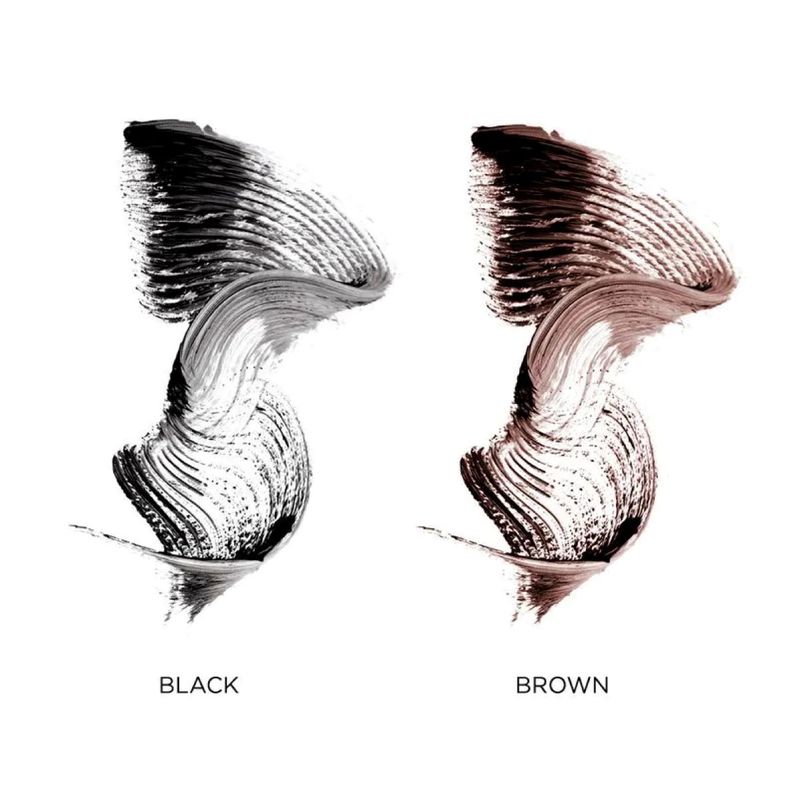 Kit Edición Regalo N°1 Palladio