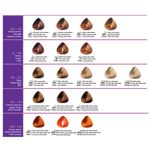 TINT X60 PRIMONT 0-10