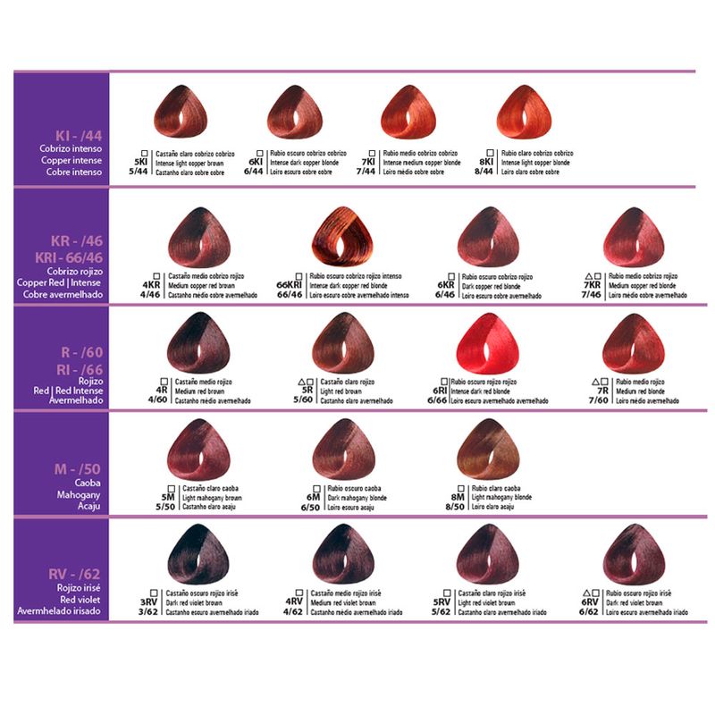 Kit Coloración 100 Tinturas Primont