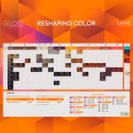 TINT X60 GLOSS LAKME 0-00