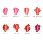 RUBOR MATTE BLUSH PALLADIO TOASTED APRICOT