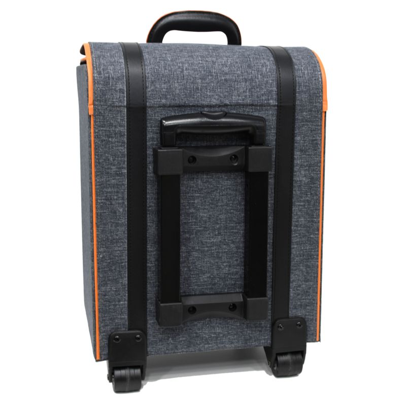 MALETIN ORGANIZADOR PELUQ HD0314 F-T