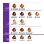 Kit Coloración 6 Tinturas Primont