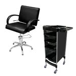 Sillón Hidráulico Comfort + Módulo Ayudante Torre Andrew TeknikStyle