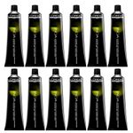 12 Tinturas Inoa Sin Amoníaco x 60grs Loreal Professionnel