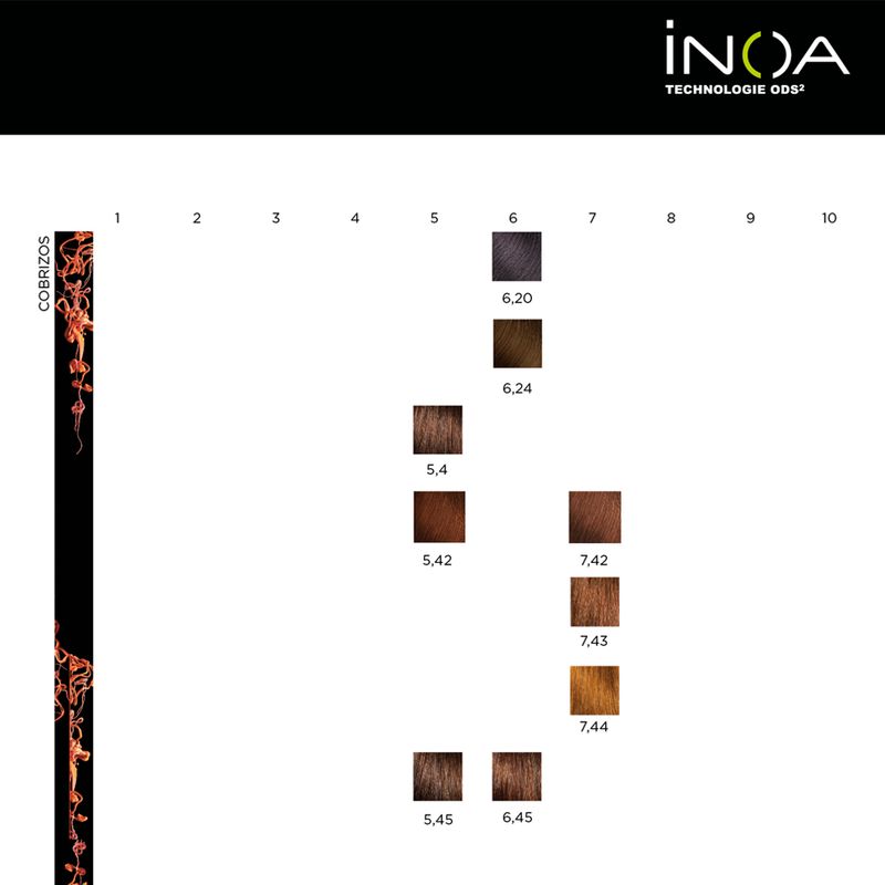 12 Tinturas Inoa Sin Amoníaco x 60grs Loreal Professionnel