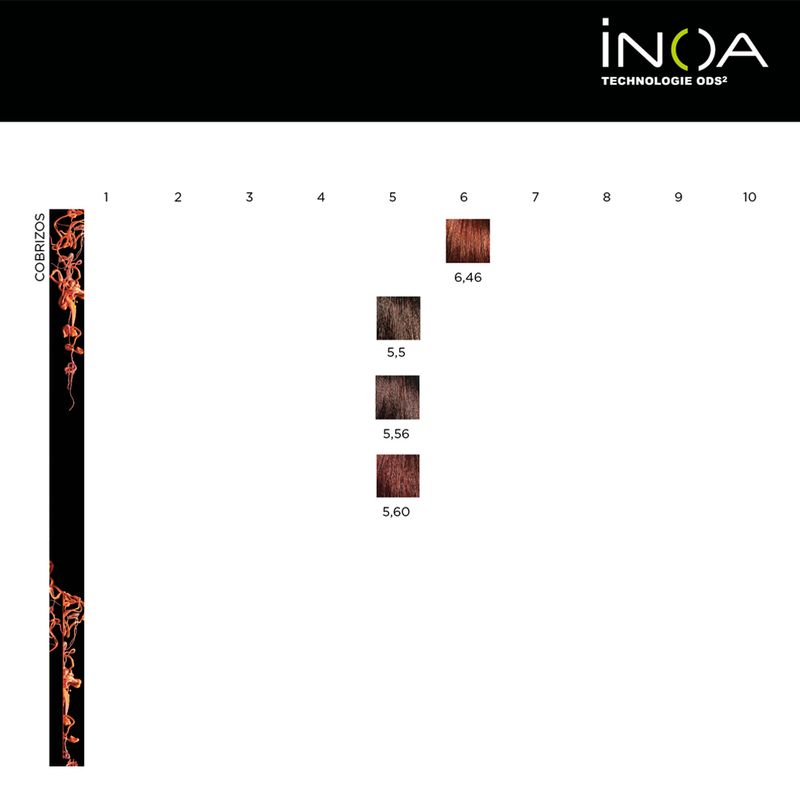 12 Tinturas Inoa Sin Amoníaco x 60grs Loreal Professionnel