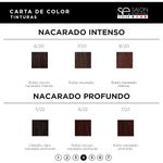 Kit Coloración 4 Tinturas Color x60ml Salon Essentials