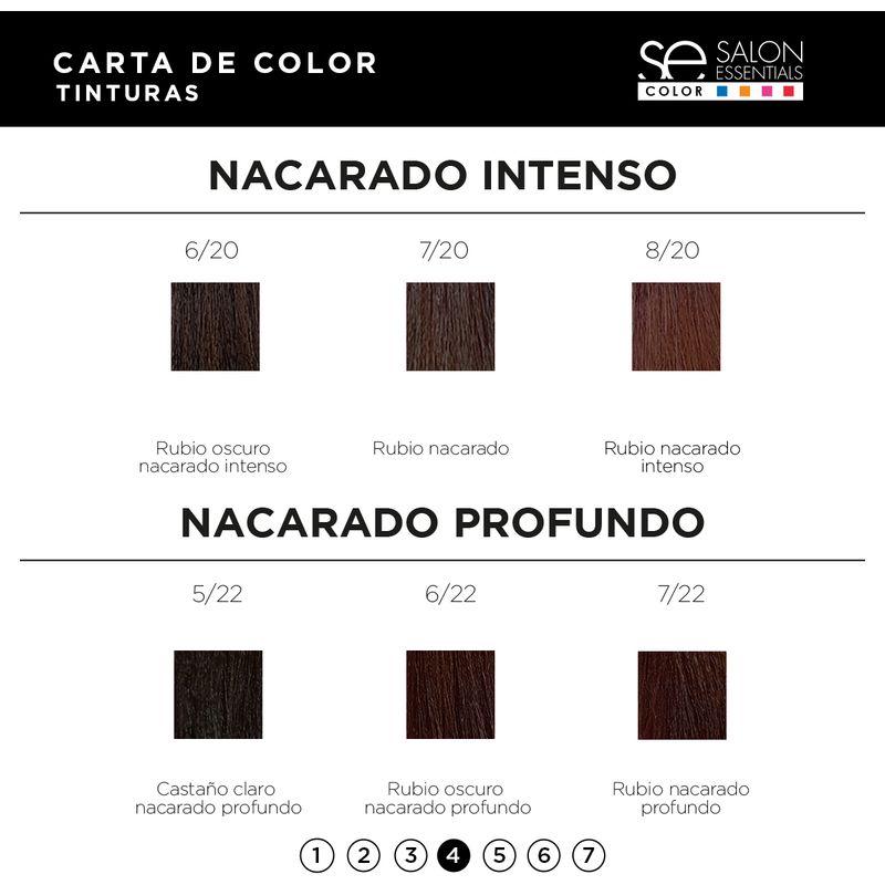 Kit Coloración 6 Tinturas Color x60ml Salon Essentials