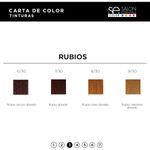 Kit Coloración 12 Tinturas Color x60ml Salon Essentials