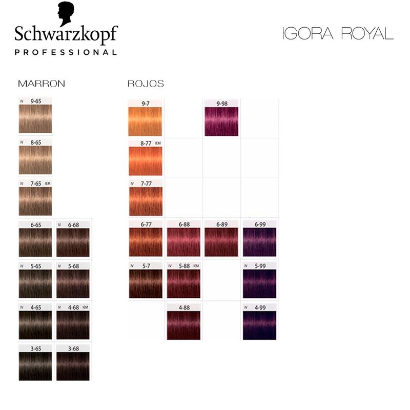 24 Tinturas Igora Royal Schwarzkopf Professional