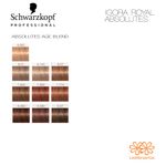 Combo 12 Tinturas Igora Royal Absolutes Schwarzkopf Professional
