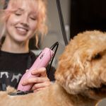 MAQ KM2+ Animal WAHL