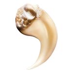 SH X240 ABS REPAIR Refill EXPERT