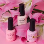 Combo Colección Cover Rose Meliné