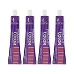 4 Tinturas x60ml Primont