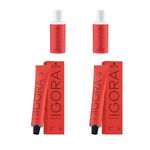 Kit 2x Tinturas + 2x Oxidantes Igora Royal Coloración Schwarzkopf