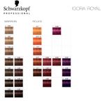 Kit 2x Tinturas + 2x Oxidantes Igora Royal Coloración Schwarzkopf