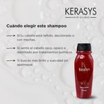 SH X200 oriental premium KERASYS