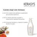 SH X450 propolis pro repair KERASYS