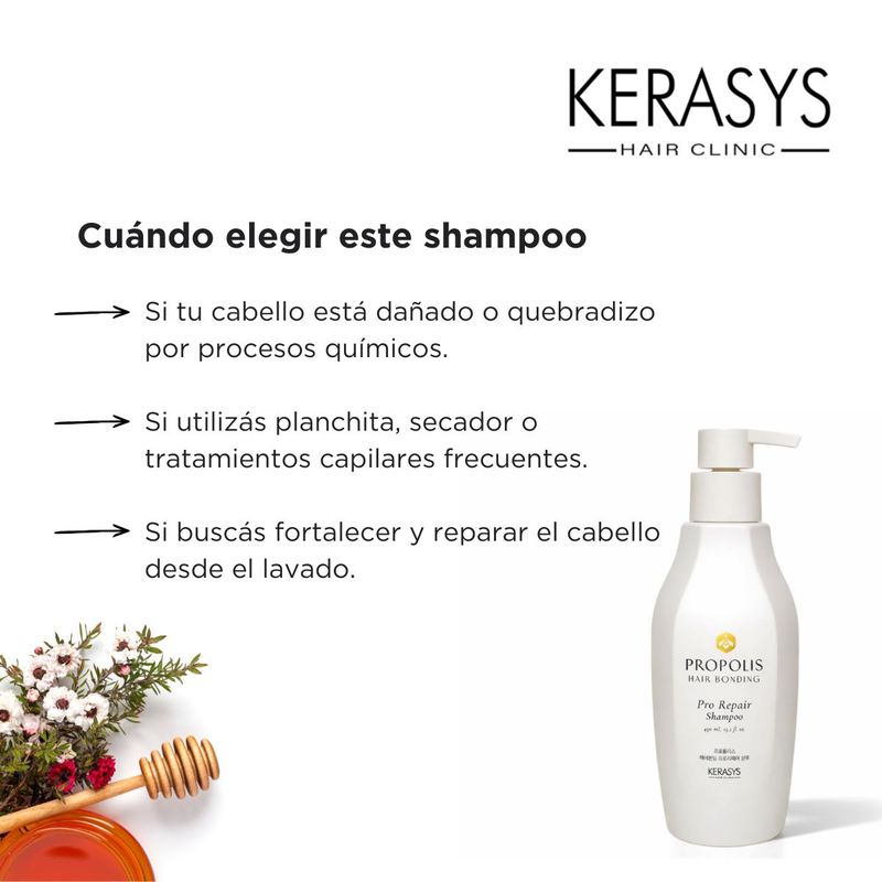 SH X450 propolis pro repair KERASYS