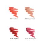 LABIAL INTENSITY HERBAL PALLADIO CABARET